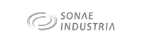 sonae industrie